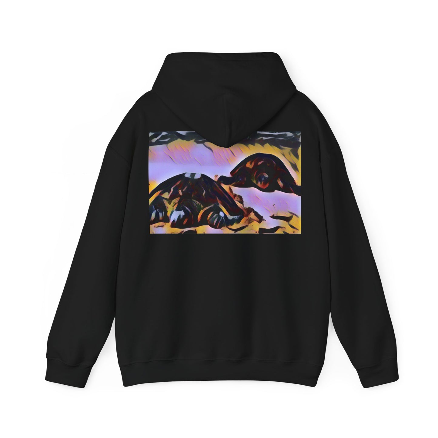 Turtles Unisex Heavy Blend Hooded Sweatshirt