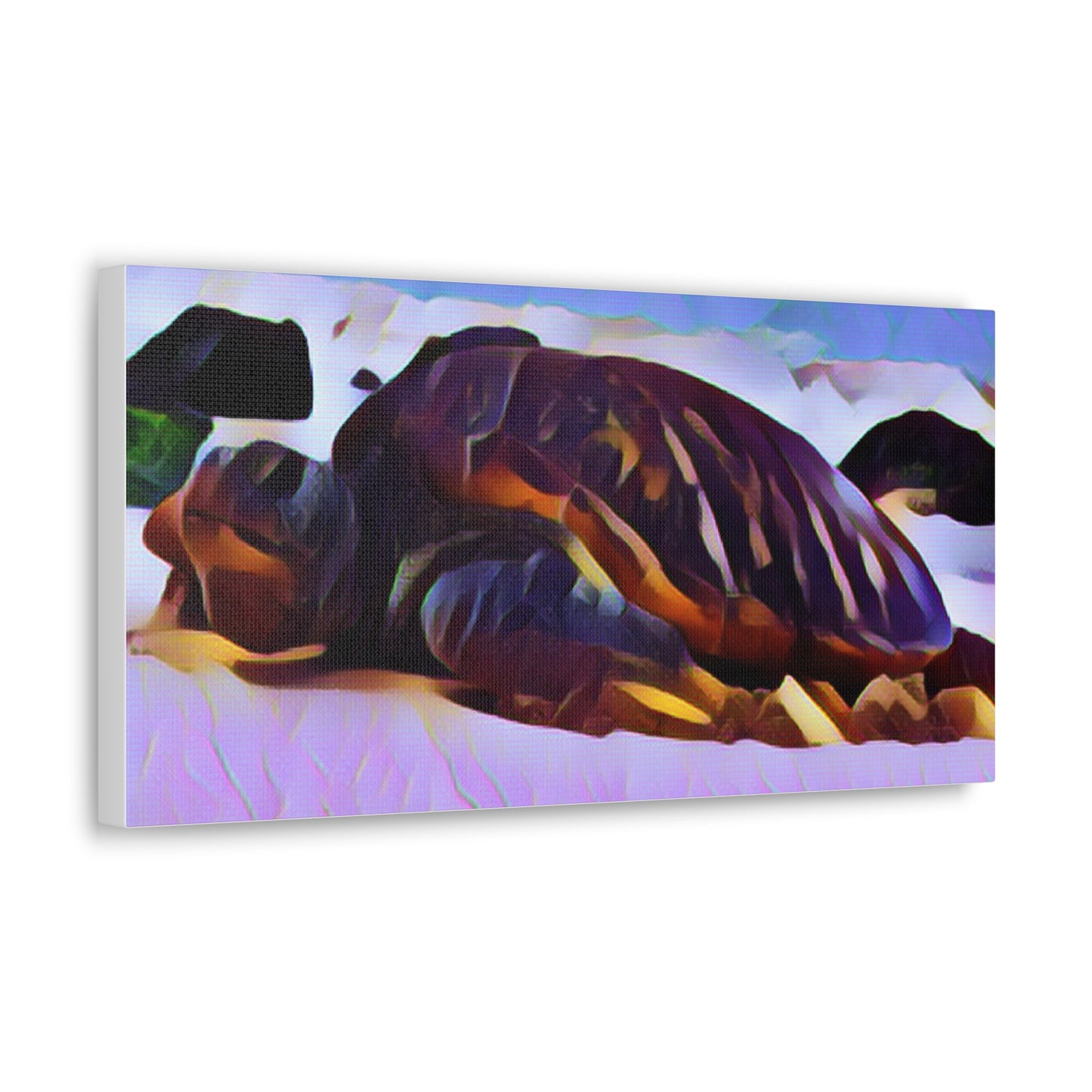 Turtle Canvas Gallery Wraps
