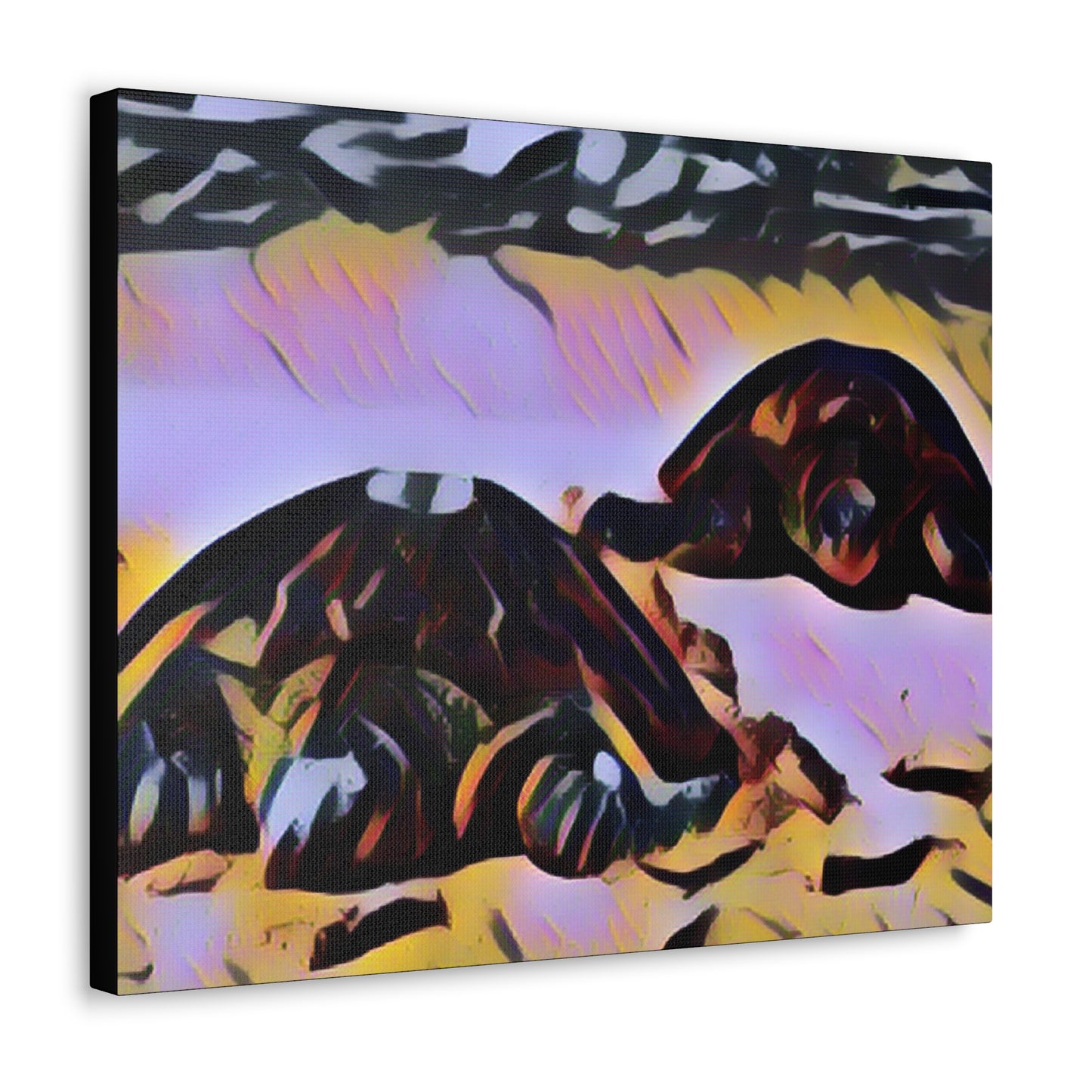 Turtles Canvas Gallery Wraps