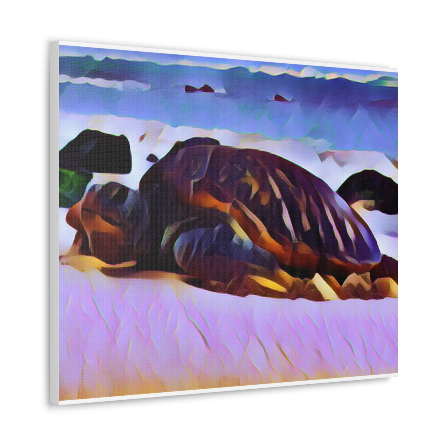 Turtle Canvas Gallery Wraps