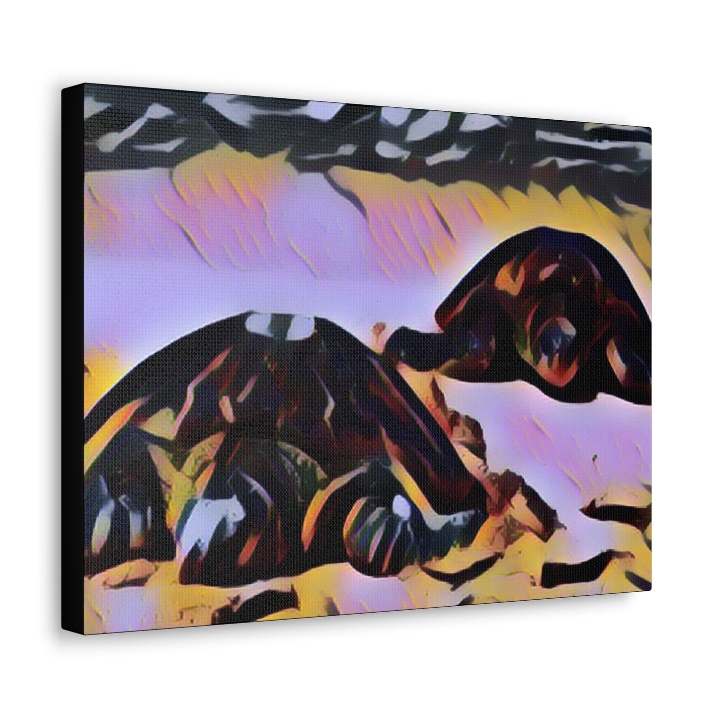 Turtles Canvas Gallery Wraps