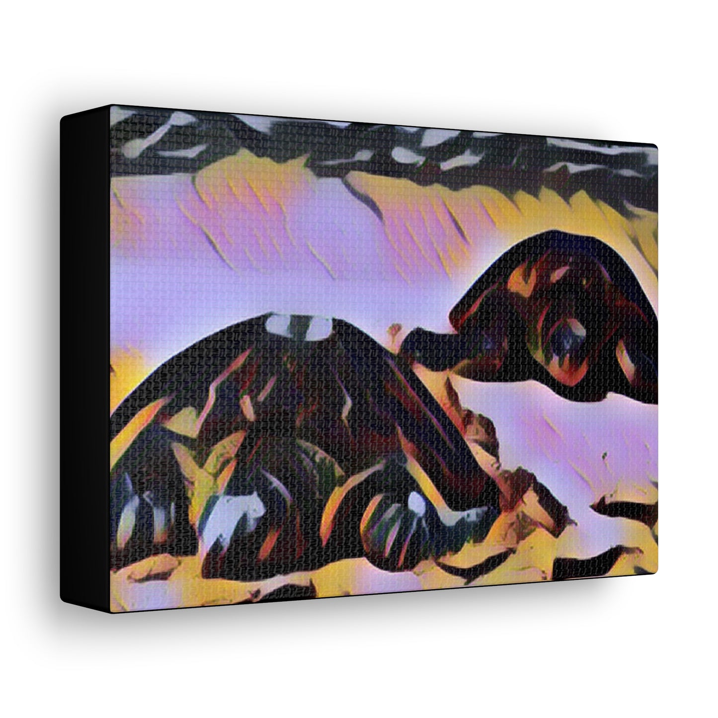 Turtles Canvas Gallery Wraps