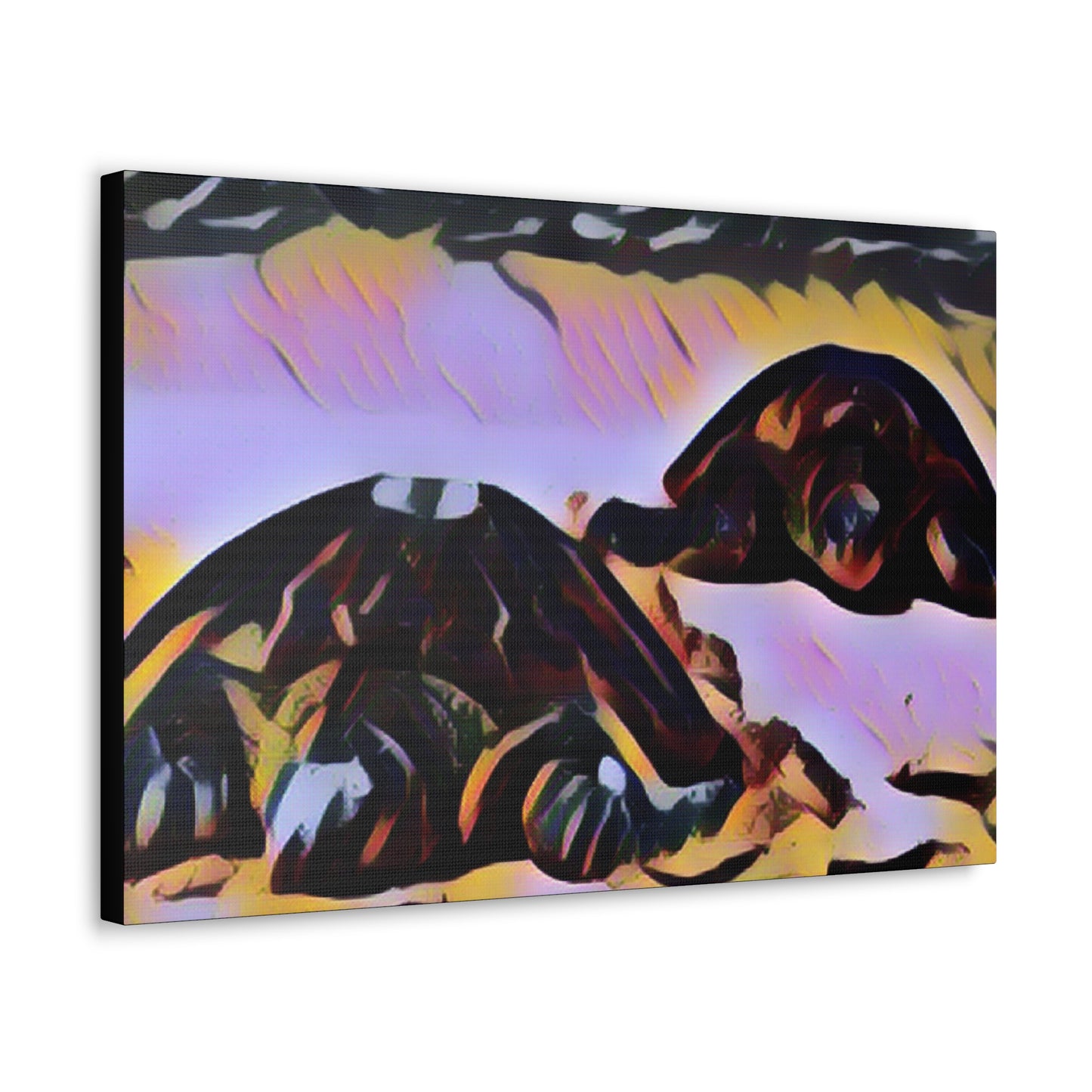 Turtles Canvas Gallery Wraps