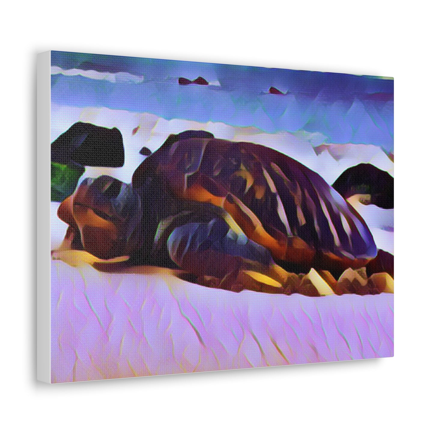 Turtle Canvas Gallery Wraps