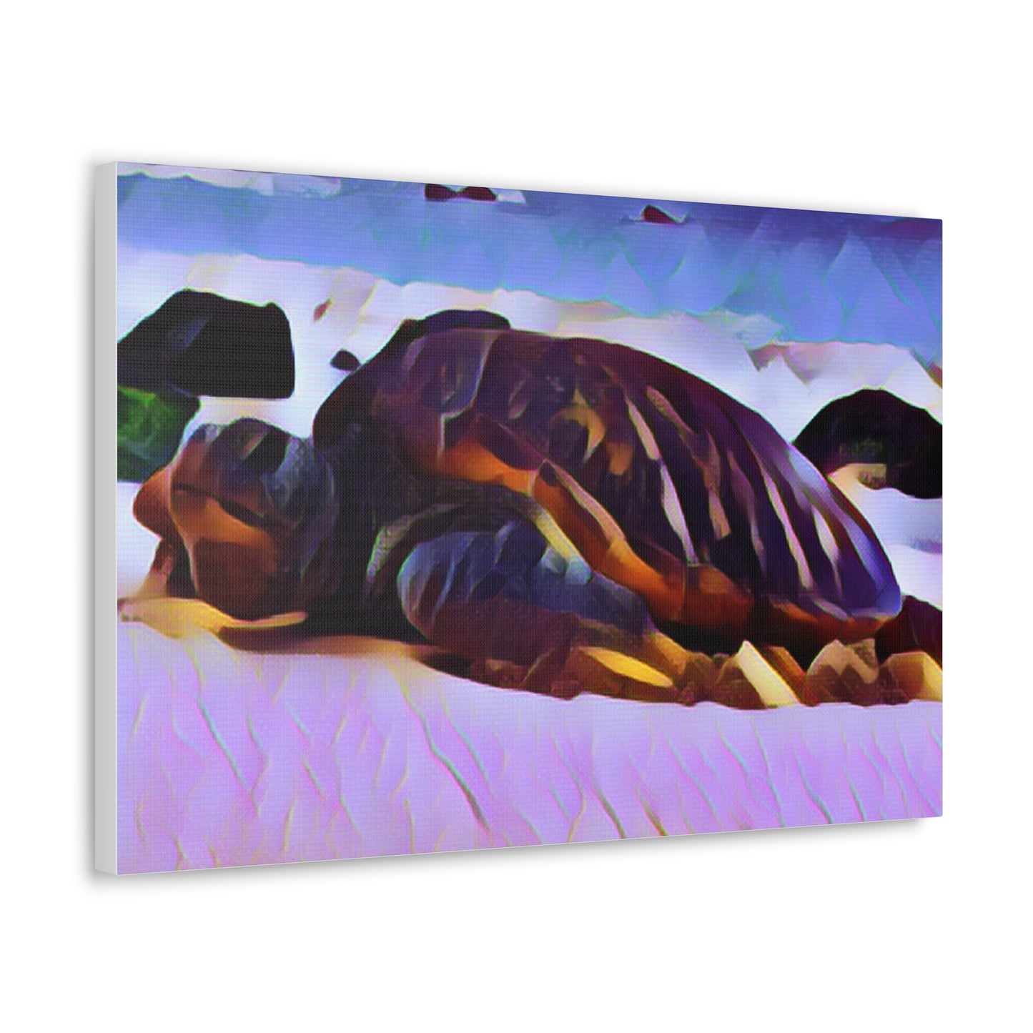 Turtle Canvas Gallery Wraps