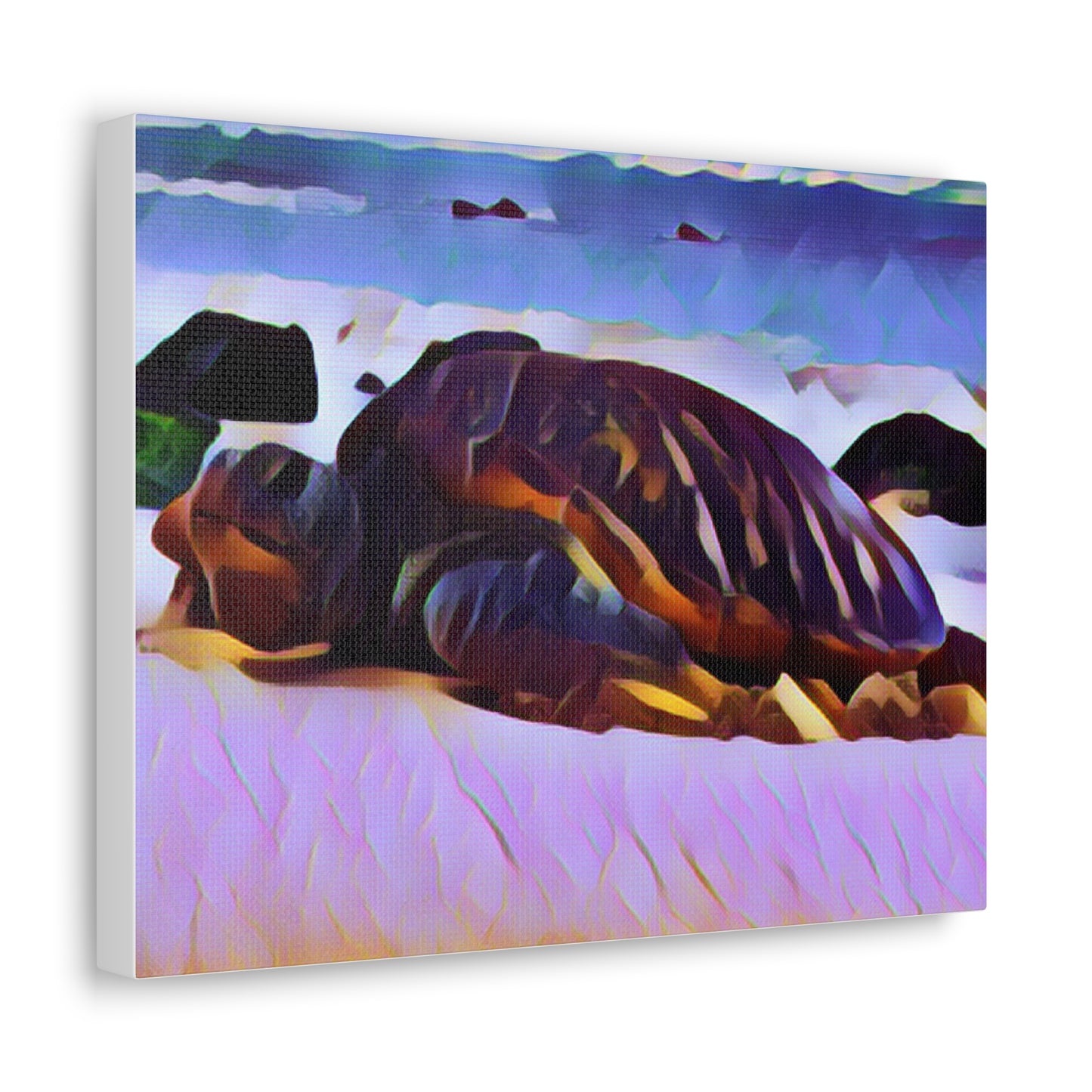 Turtle Canvas Gallery Wraps