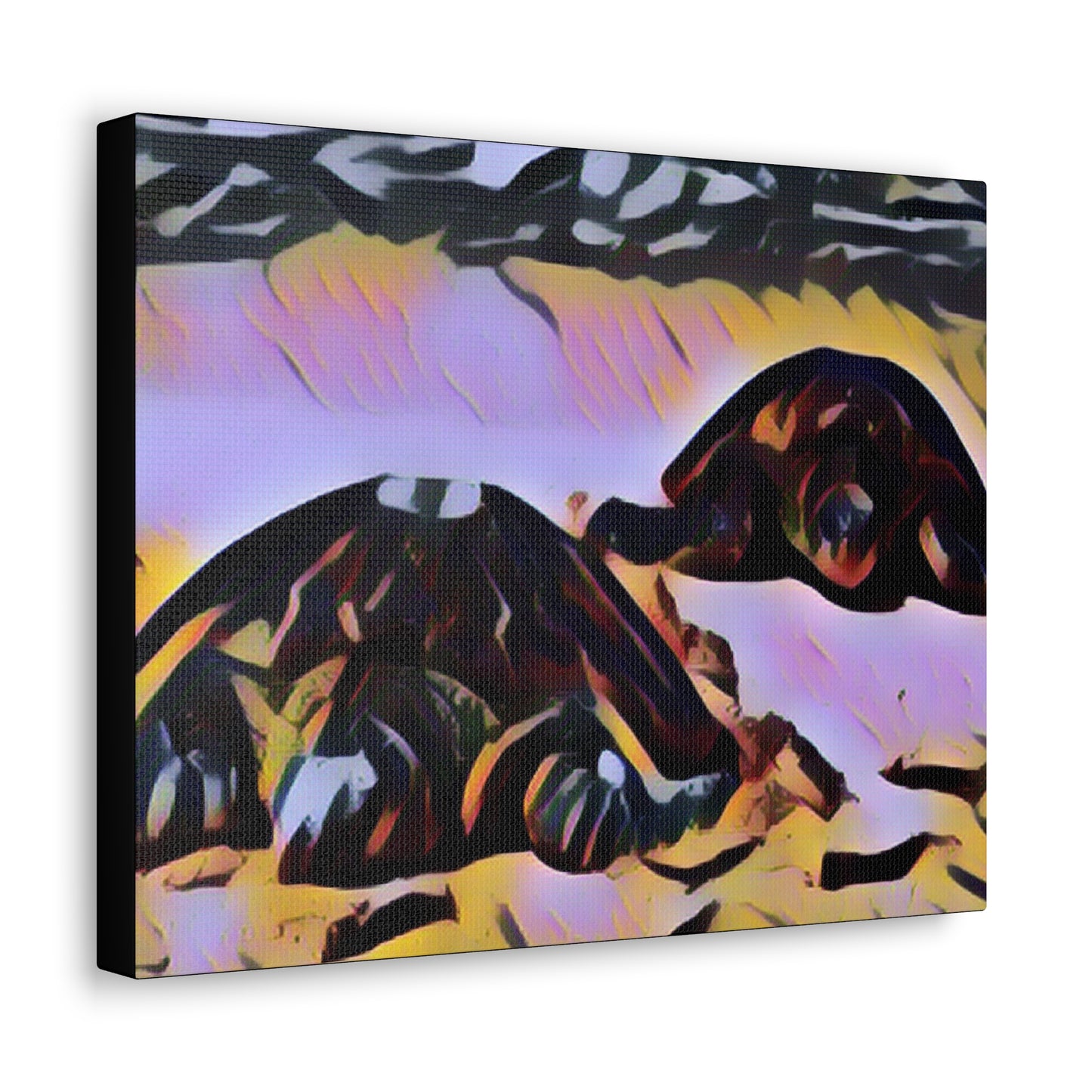 Turtles Canvas Gallery Wraps