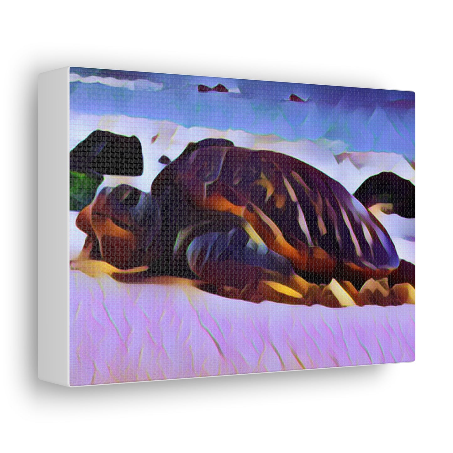 Turtle Canvas Gallery Wraps