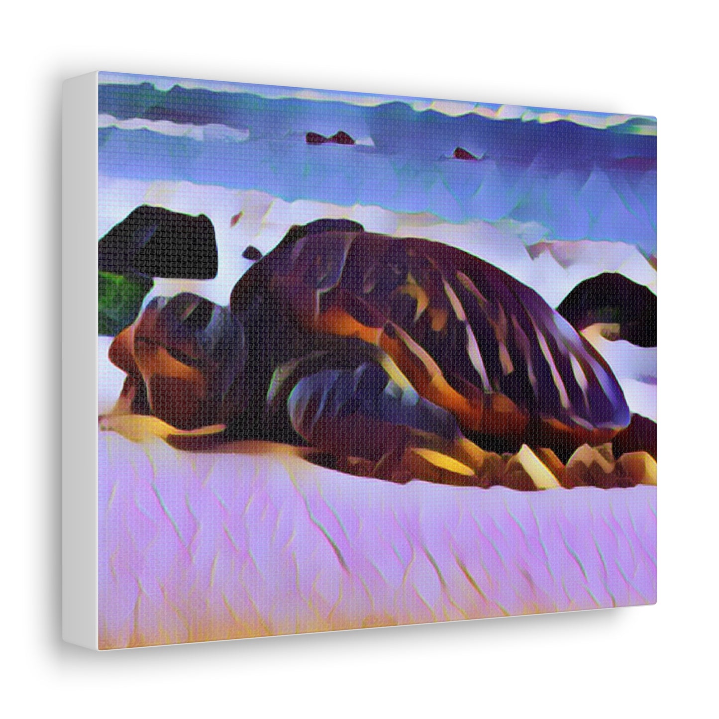 Turtle Canvas Gallery Wraps