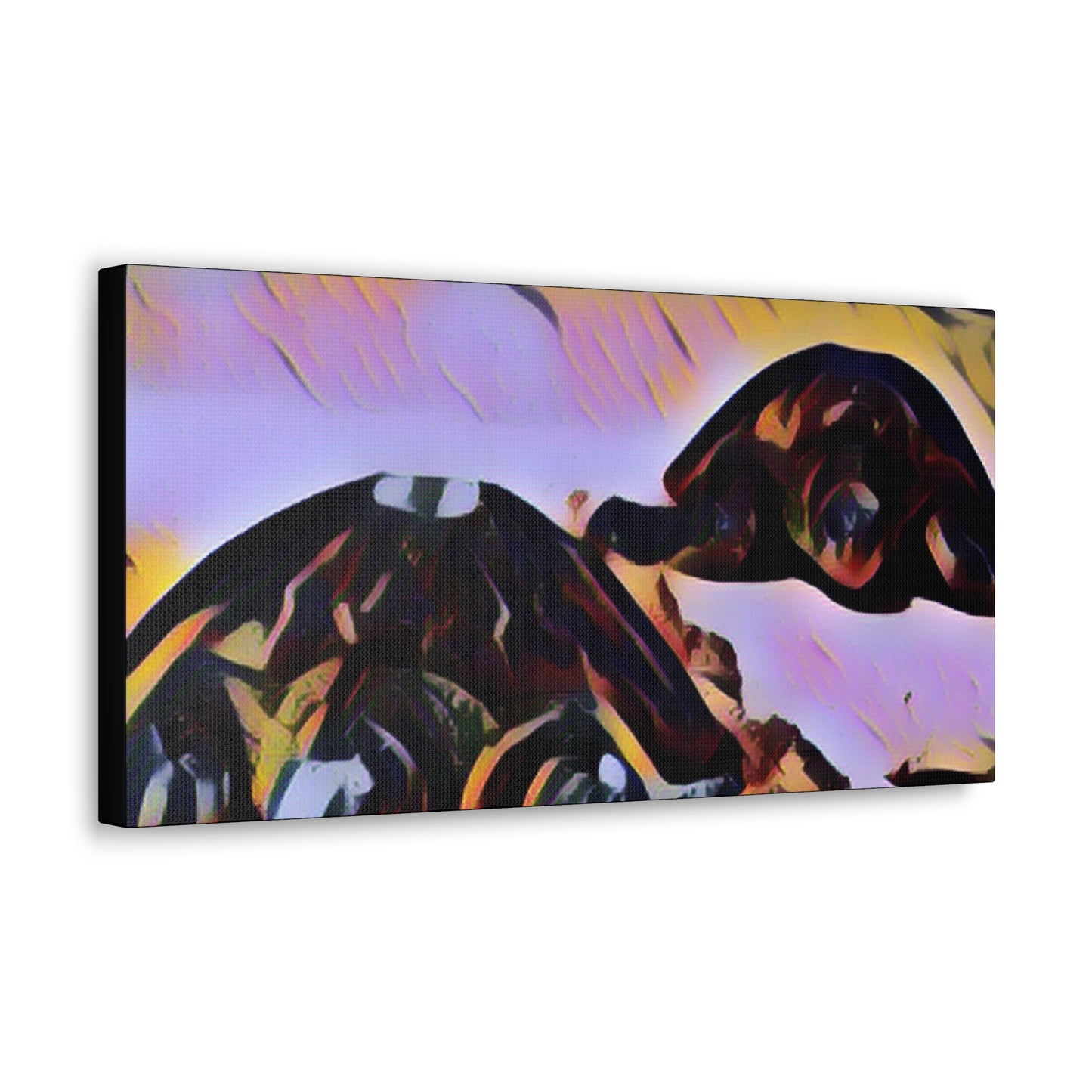 Turtles Canvas Gallery Wraps