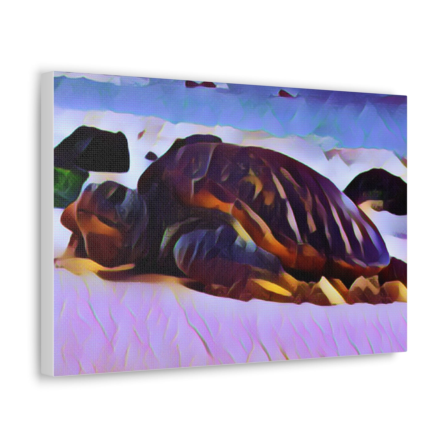 Turtle Canvas Gallery Wraps